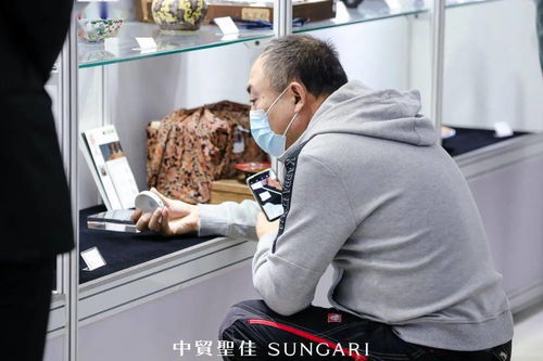 遇佳人 赏精品 中贸圣佳秋拍北京精品展暨磁臻④预展现场直击